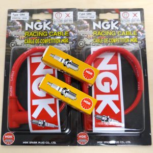 NGK Set, RS250 / RGV250